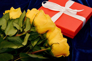 Similar image 21292087