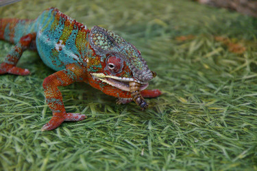 Similar image 21292110