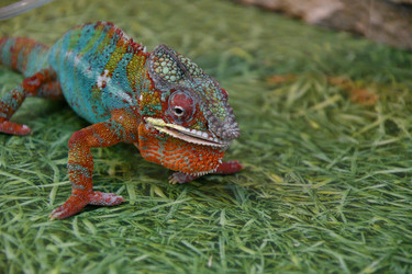 Similar image 21292111