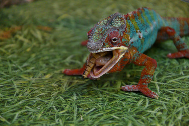 Similar image 21292114