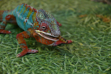 Similar image 21292115