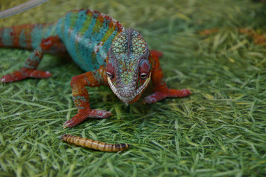 Similar image 21292116