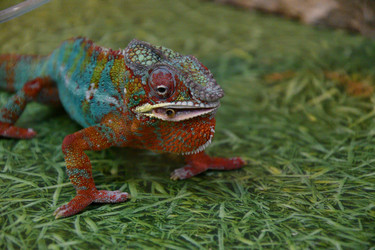 Similar image 21292117