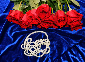 Similar image 21292123