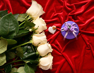 Similar image 21280305