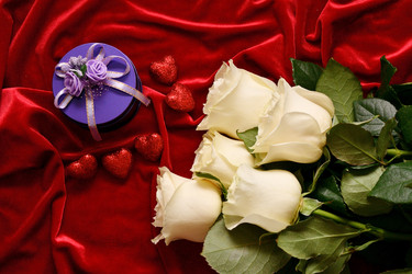 Similar image 21280308