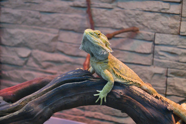 Similar image 21292035