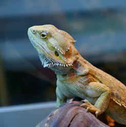 Similar image 21292038