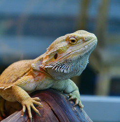 Similar image 21292039