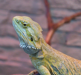 Similar image 21292042