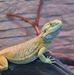 Similar image 21292043