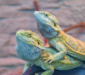 Similar image 21292075