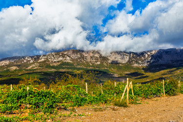 Similar image 21273026