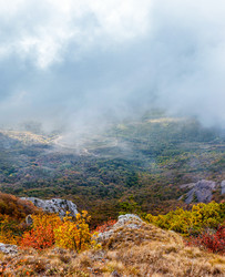 Similar image 21273027