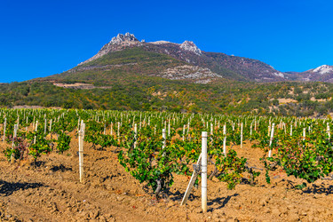 Similar image 21273030