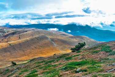 Similar image 21273032