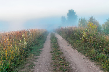 Similar image 21263672