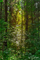 Similar image 21263675