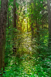 Similar image 21263676