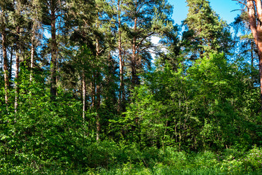 Similar image 21263677