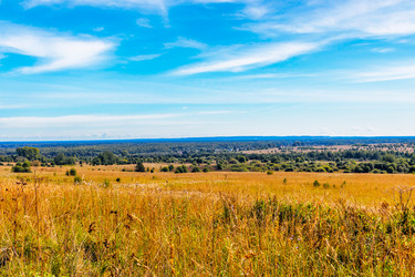 Similar image 21263679