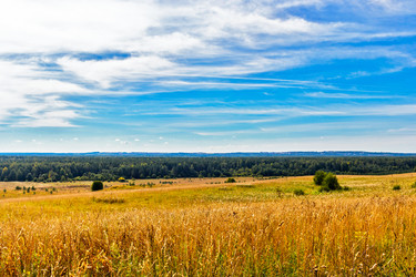 Similar image 21263681