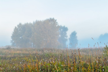 Similar image 21263684