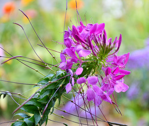 Similar image 21273471