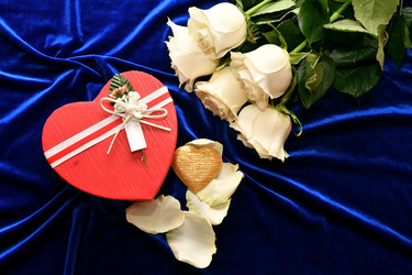 Similar image 21280280