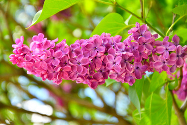 Similar image 21280292