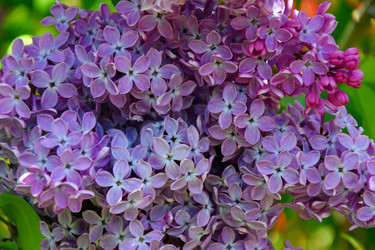 Similar image 21280322