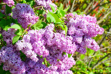 Similar image 21280323