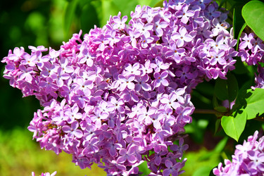 Similar image 21280324