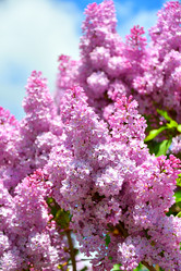 Similar image 21280325