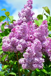 Similar image 21280330