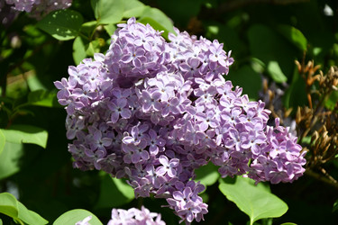 Similar image 21280332