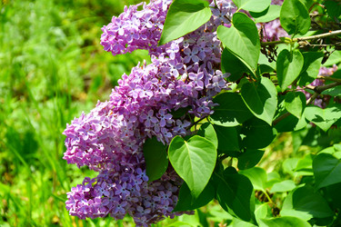 Similar image 21280333