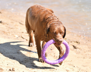 Similar image 21280337