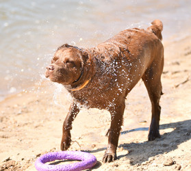 Similar image 21280338