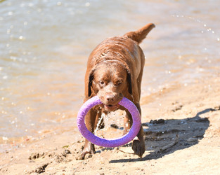 Similar image 21280339