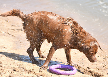 Similar image 21280341