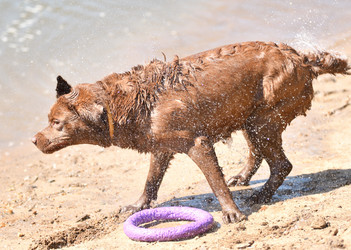 Similar image 21280342