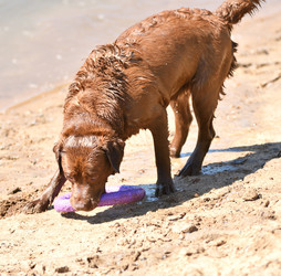 Similar image 21280343