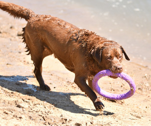 Similar image 21280344