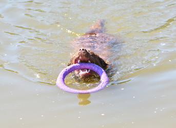 Similar image 21280345