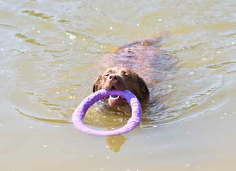 Similar image 21280346