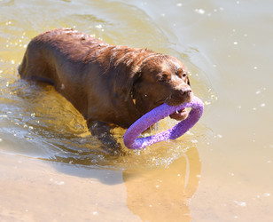 Similar image 21280348