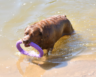 Similar image 21280349