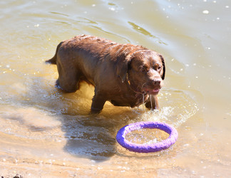 Similar image 21280350