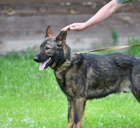 Similar image 21280359